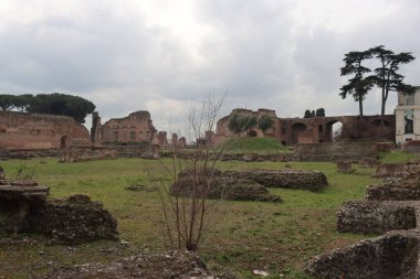 ROME, ITALY - 05 Şubat 2022: Roma, İtalya 'daki Colosseum çevresindeki panoramik manzara. Arka planda soğuk ve gri gökyüzü. Eski binalarla yeşil parkların makro fotoğrafları..