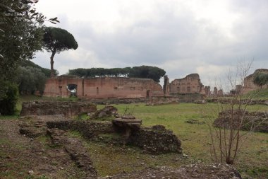 ROME, ITALY - 05 Şubat 2022: Roma, İtalya 'daki Colosseum çevresindeki panoramik manzara. Arka planda soğuk ve gri gökyüzü. Eski binalarla yeşil parkların makro fotoğrafları..