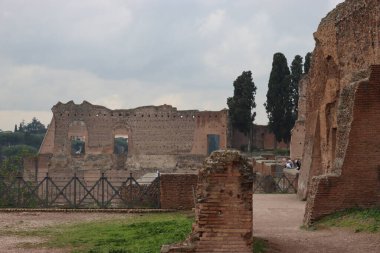 ROME, ITALY - 05 Şubat 2022: Roma, İtalya 'daki Colosseum çevresindeki panoramik manzara. Arka planda soğuk ve gri gökyüzü. Eski binalarla yeşil parkların makro fotoğrafları..