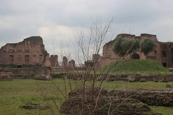 Řím Itálie Února 2022 Panoramatický Výhled Koloseum Italském Římě Studená — Stock fotografie