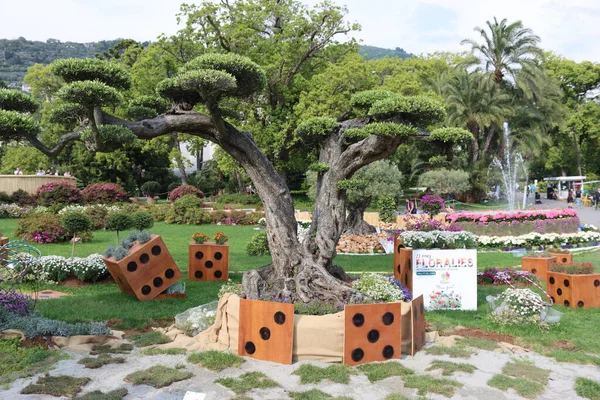 Cenova, Itay - 03 Mayıs 2022: Euroflora bir çiçek sergisi ve süs bitkisi Cenova 'nın Nervi parklarında yer alan başlıca çiçek sergilerinden biri..
