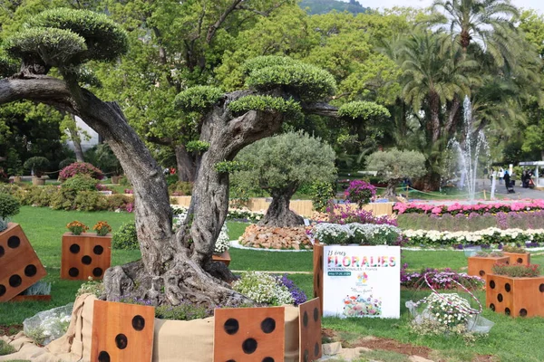 Cenova, Itay - 03 Mayıs 2022: Euroflora bir çiçek sergisi ve süs bitkisi Cenova 'nın Nervi parklarında yer alan başlıca çiçek sergilerinden biri..