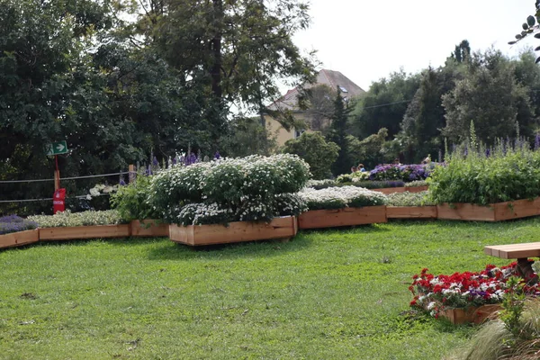 Cenova, Itay - 03 Mayıs 2022: Euroflora bir çiçek sergisi ve süs bitkisi Cenova 'nın Nervi parklarında yer alan başlıca çiçek sergilerinden biri..