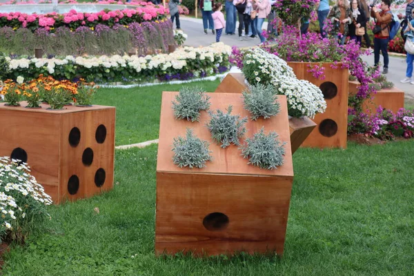 Cenova, Itay - 03 Mayıs 2022: Euroflora bir çiçek sergisi ve süs bitkisi Cenova 'nın Nervi parklarında yer alan başlıca çiçek sergilerinden biri..