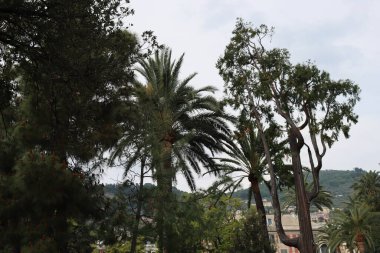 Cenova, Itay - 03 Mayıs 2022: Euroflora bir çiçek sergisi ve süs bitkisi Cenova 'nın Nervi parklarında yer alan başlıca çiçek sergilerinden biri..