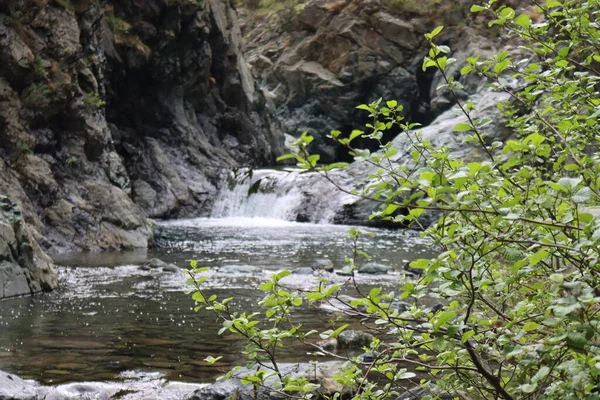 Ligurie Itálie Dubna 2022 Krásné Barevné Jaro Léto Přírodní Krajina — Stock fotografie