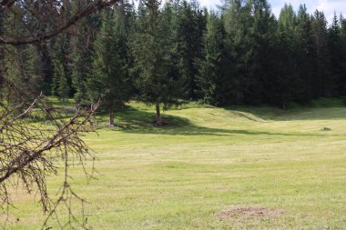 Coravara, Italy-July 16, 2022: The italian Dolomites behind the small village of Corvara in summer days with beaitiful blue sky in the background. Green nature in the middle of the rocks. 