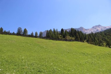 Val Badia, Italy-July 17, 2022: The italian Dolomites behind the small village of Corvara in summer days with beaitiful blue sky in the background. Green nature in the middle of the rocks.