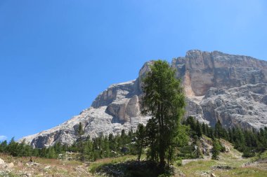 Val Badia, Italy-July 17, 2022: The italian Dolomites behind the small village of Corvara in summer days with beaitiful blue sky in the background. Green nature in the middle of the rocks.