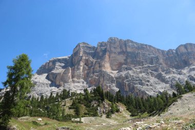 Val Badia, Italy-July 17, 2022: The italian Dolomites behind the small village of Corvara in summer days with beaitiful blue sky in the background. Green nature in the middle of the rocks.