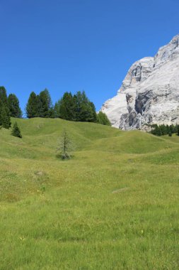 Val Badia, Italy-July 17, 2022: The italian Dolomites behind the small village of Corvara in summer days with beaitiful blue sky in the background. Green nature in the middle of the rocks.