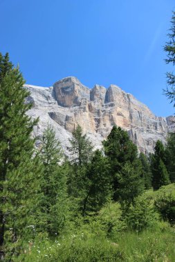 Val Badia, Italy-July 17, 2022: The italian Dolomites behind the small village of Corvara in summer days with beaitiful blue sky in the background. Green nature in the middle of the rocks.