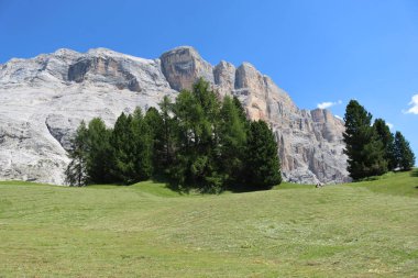 Val Badia, Italy-July 17, 2022: The italian Dolomites behind the small village of Corvara in summer days with beaitiful blue sky in the background. Green nature in the middle of the rocks.