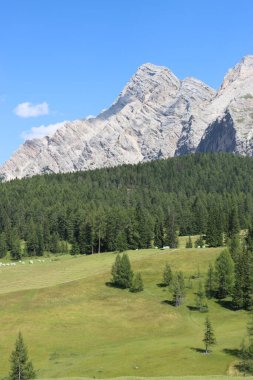Val Badia, Italy-July 17, 2022: The italian Dolomites behind the small village of Corvara in summer days with beaitiful blue sky in the background. Green nature in the middle of the rocks.