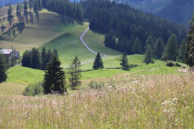Val Badia, Italy-July 17, 2022: The italian Dolomites behind the small village of Corvara in summer days with beaitiful blue sky in the background. Green nature in the middle of the rocks.