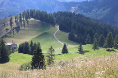 Val Badia, Italy-July 17, 2022: The italian Dolomites behind the small village of Corvara in summer days with beaitiful blue sky in the background. Green nature in the middle of the rocks.