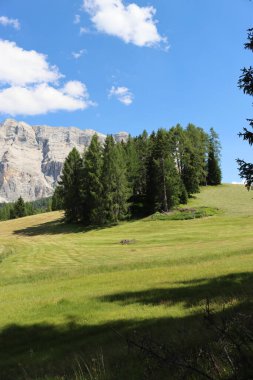 Val Badia, Italy-July 17, 2022: The italian Dolomites behind the small village of Corvara in summer days with beaitiful blue sky in the background. Green nature in the middle of the rocks.