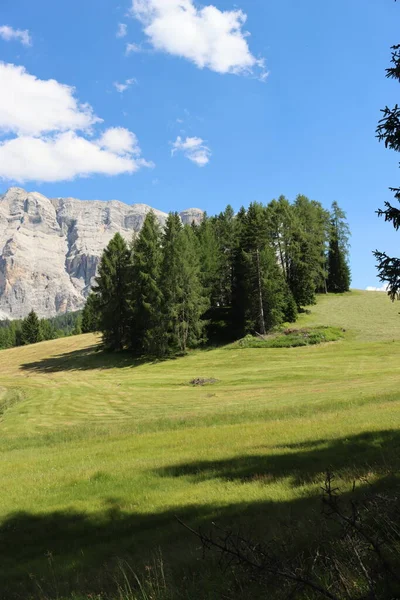 Val Badia, Italy-July 17, 2022: The italian Dolomites behind the small village of Corvara in summer days with beaitiful blue sky in the background. Green nature in the middle of the rocks.