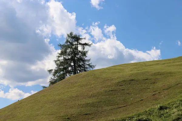 Val Badia, Italy-July 17, 2022: The italian Dolomites behind the small village of Corvara in summer days with beaitiful blue sky in the background. Green nature in the middle of the rocks.