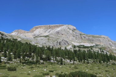 Val Badia, Italy-July 18, 2022: The italian Dolomites behind the small village of Corvara in summer days with beaitiful blue sky in the background. Green nature in the middle of the rocks.
