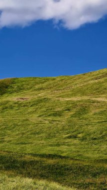 Val Badia, Italy-July 18, 2022: The italian Dolomites behind the small village of Corvara in summer days with beaitiful blue sky in the background. Green nature in the middle of the rocks.