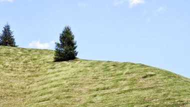 Val Badia, Italy-July 18, 2022: The italian Dolomites behind the small village of Corvara in summer days with beaitiful blue sky in the background. Green nature in the middle of the rocks.