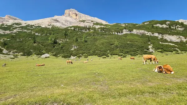 Val Badia Italy July 2022 Italian Dolomites Small Village Corvara — Stock Photo, Image