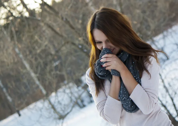 Schöne junge Frau im Winterwald — Stockfoto