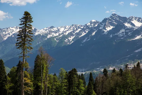 Magnifiques montagnes du Caucase, Sotchi, Russie. Station de ski Krasnaya Polyana — Photo