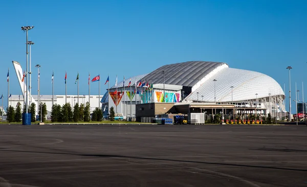 索契奥运会到 2014 年，俄罗斯奥林匹克公园。热酷你 免版税图库照片