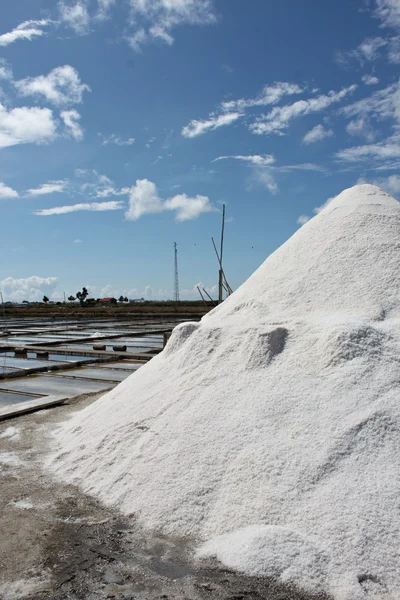 Salines troncalhada, aveiro, Portekiz