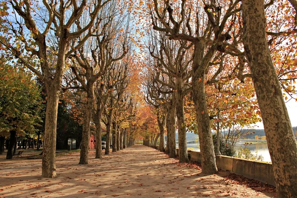 Park Güz