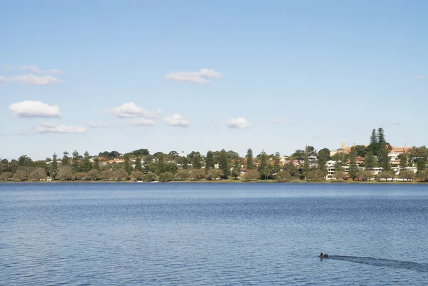 ที่อยู่อาศัยทะเลสาบ Monger ในออสเตรเลียตะวันตก รูปภาพสต็อก