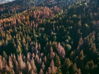 İtalyan dağlarında harika bir manzara.