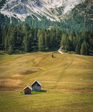 fantastic view on prato piazza and mount specie in trentino