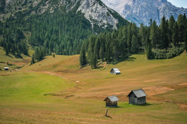fantastic view on prato piazza and mount specie in trentino