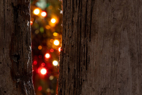 The holiday lights are visible through a crack in the old fence.