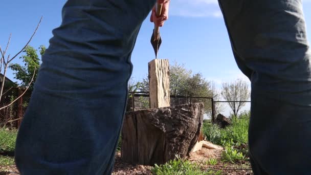 Man Chopping Firewood Heavy Axe — Video