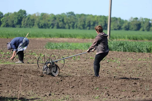 Cherkasy Ukraine May 2022 Women Farming While Men Fight Russian — Foto de Stock