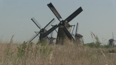 doğal, Hollanda yakınındaki Hollanda yel değirmenleri
