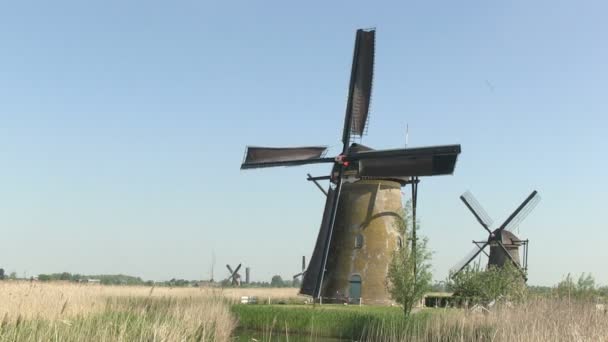 Molino de viento holandés cerca de Kinderdijk, Países Bajos — Vídeo de stock