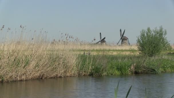 Molinos de viento holandeses cerca de Kinderdijk, Holanda — Vídeos de Stock