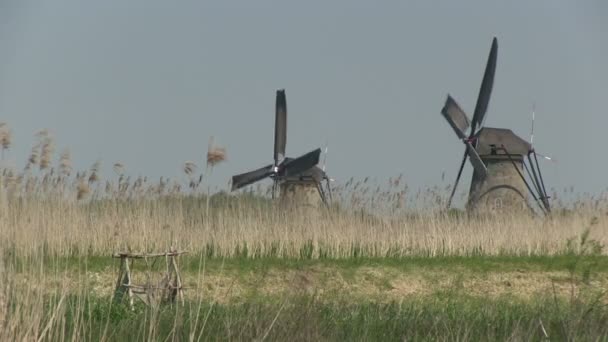 Moinhos de vento holandeses perto de Kinderdijk, Países Baixos — Vídeo de Stock