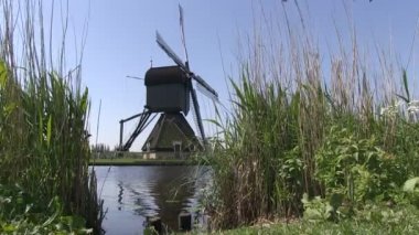 doğal, Hollanda yakınındaki Hollanda Yeldeğirmeni