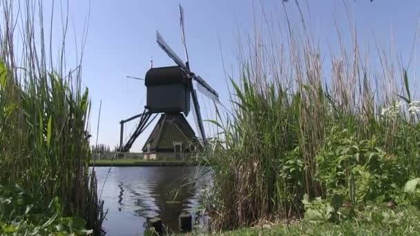 Голландская ветряная мельница возле Киндердейка, Нидерланды — стоковое видео