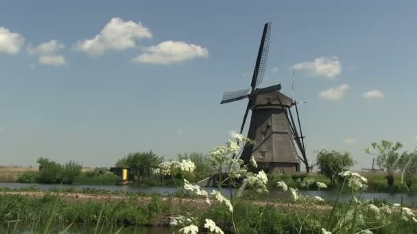 Голландские ветряные мельницы недалеко от Киндердейка, Нидерланды — стоковое видео