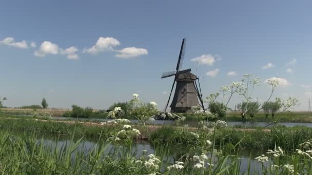 Nederlandse windmolens in de buurt van kinderdijk, Nederland — Stockvideo