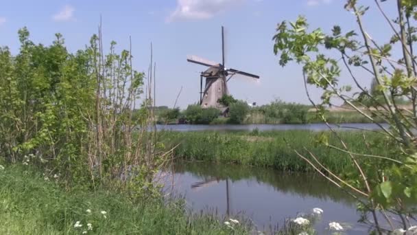 Holandské větrné mlýny poblíž kinderdijk, Nizozemsko — Stock video