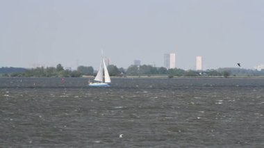 yelkenli tekne Hollanda