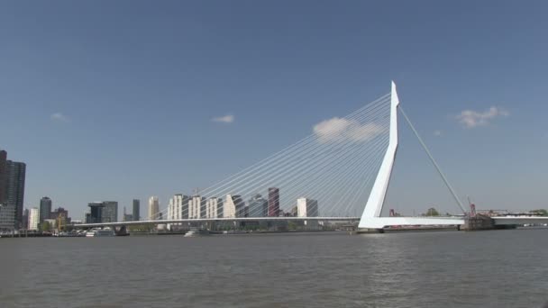Erasmusbrug w rotterdam, Holandia — Wideo stockowe